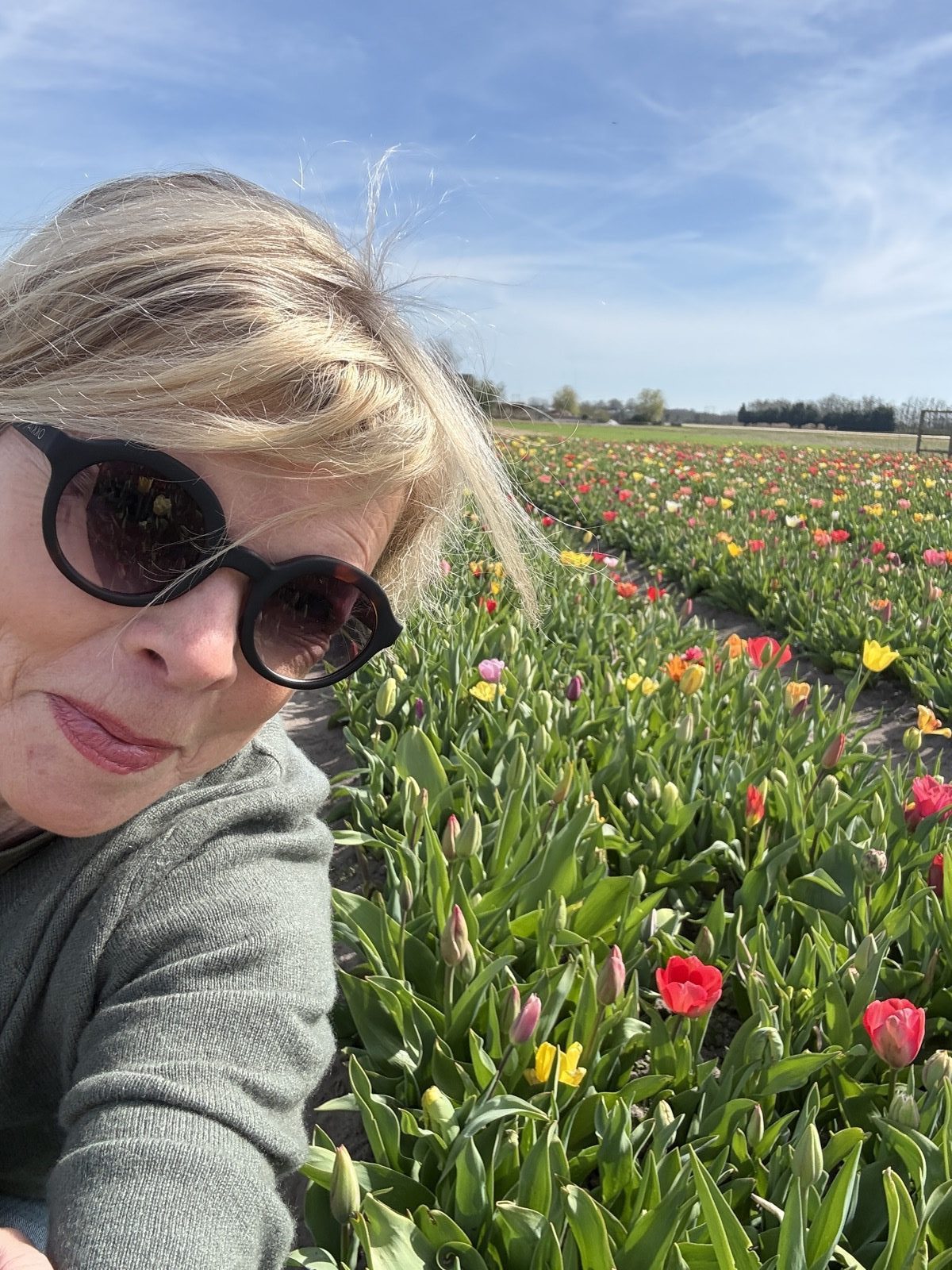 Picking tulips at a local tulip farm near Haarlem