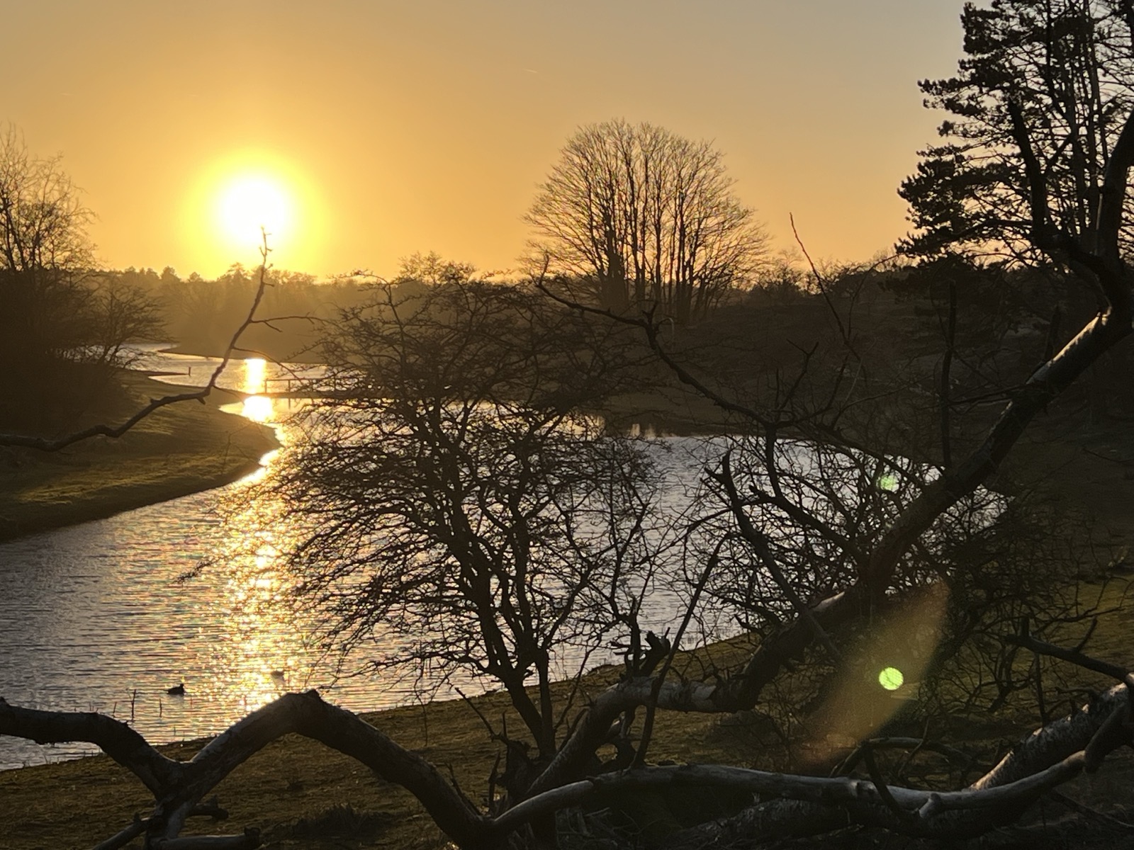 Golden sunset over the dunes